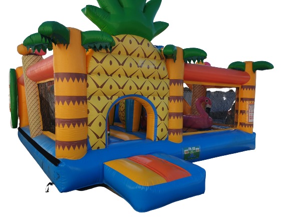 Playground Praia Escorrega Interior